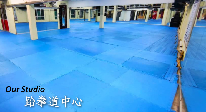 Taekwon-Do A Way of Life