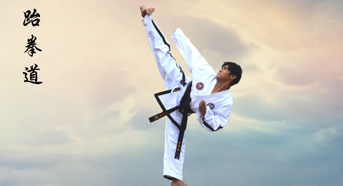 Taekwon-Do A Way of Life