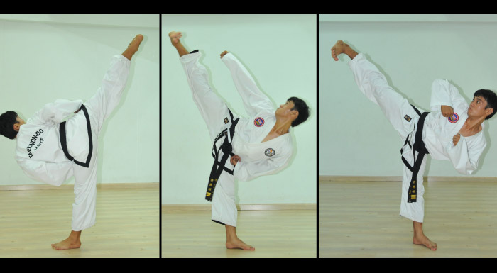 Taekwon-Do A Way of Life